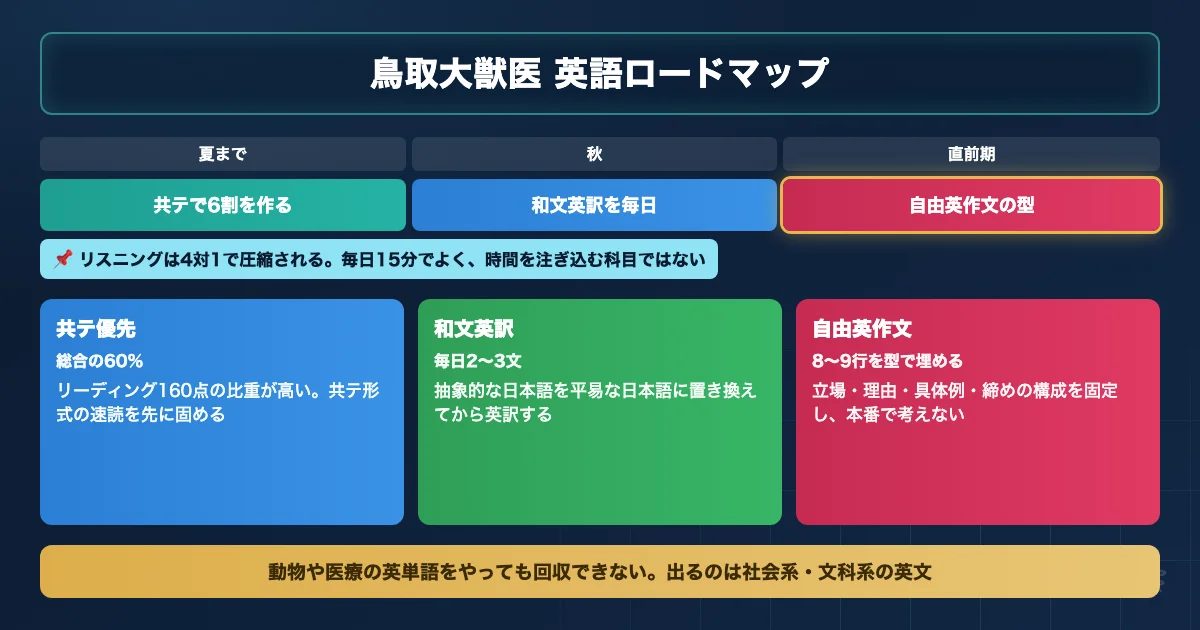 鳥取大学共同獣医学科の英語対策を3ステップで進めるロードマップ図解