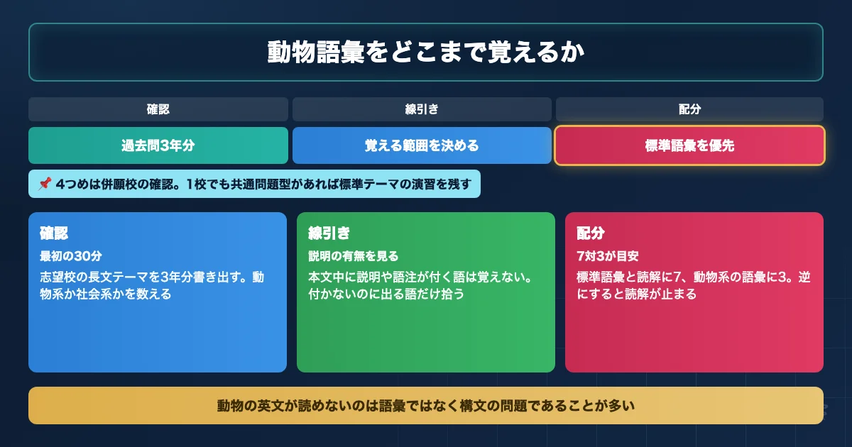 獣医学部英語で動物語彙をどこまで覚えるかを決める3ステップのロードマップ図解
