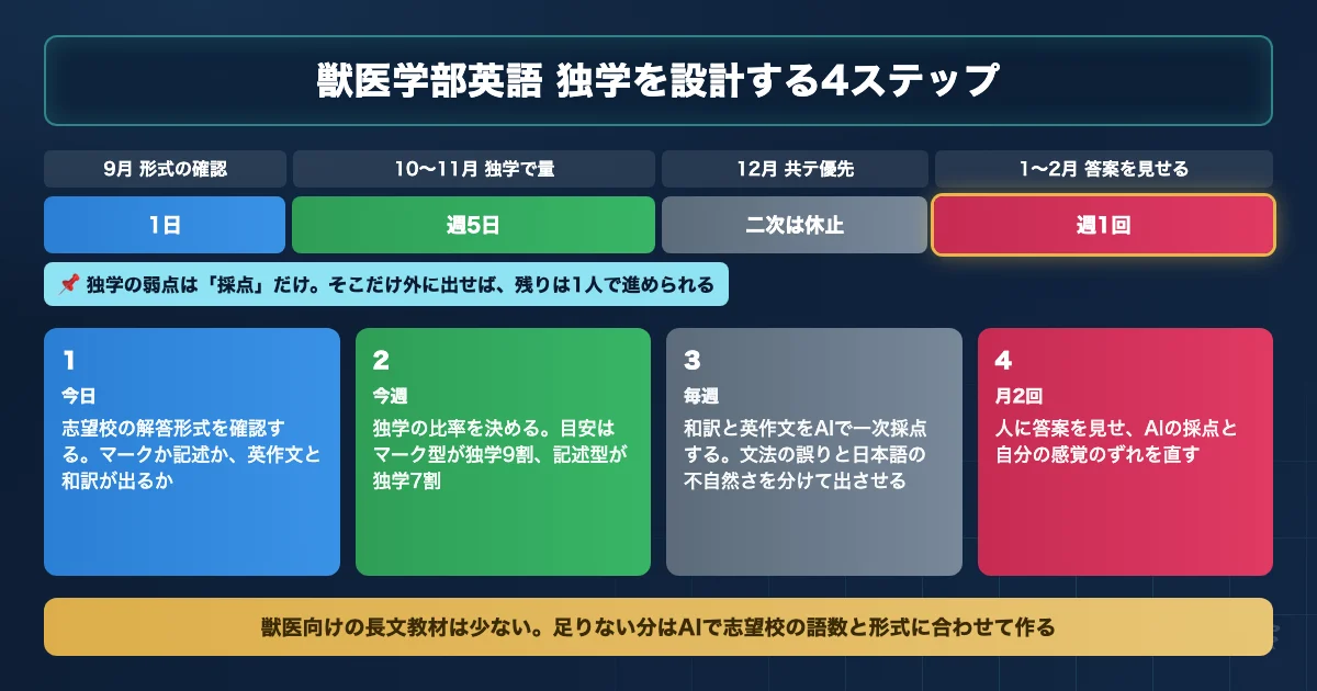 獣医学部英語の独学を9月から2月まで4ステップで設計するロードマップ図解
