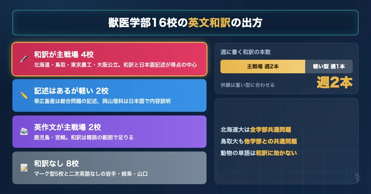 獣医学部16校のうち英文和訳の対策が要る6校とマーク型・二次英語なしの大学を分類した図解