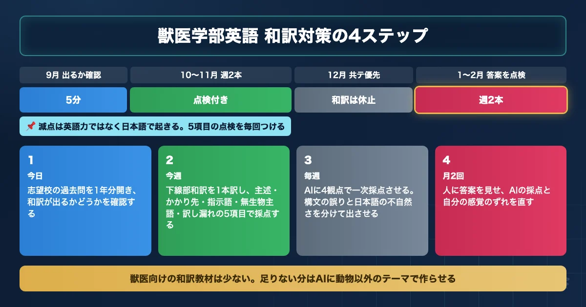 獣医学部英語の和訳対策を9月から2月まで4ステップで進めるロードマップ図解